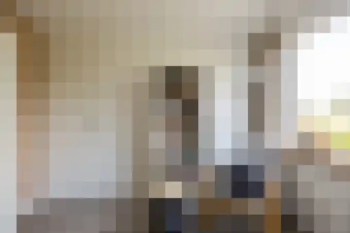 Tolhuis 3315 Nijmegen thumbnail 19