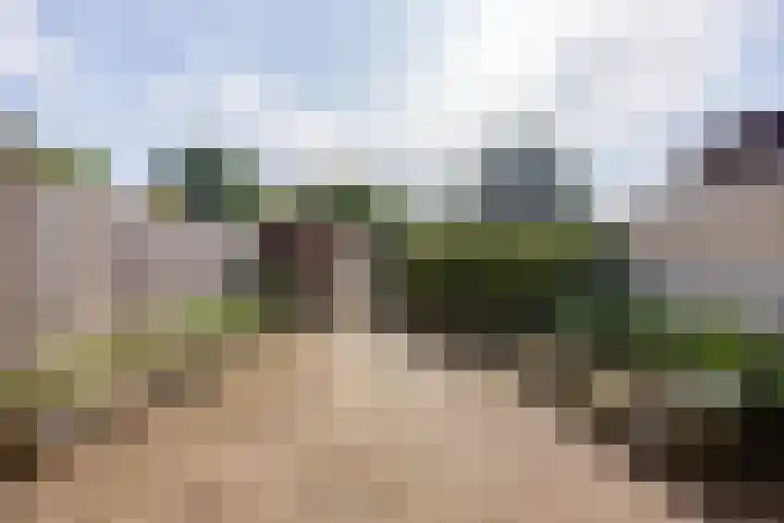 Tolhuis 3315 Nijmegen thumbnail 32
