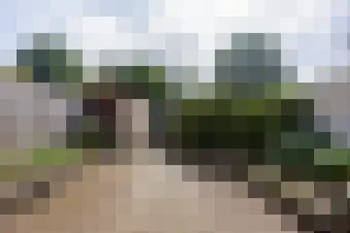 Tolhuis 3315 Nijmegen thumbnail 33