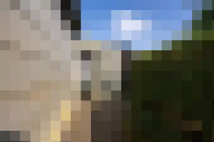 Tolhuis 3315 Nijmegen thumbnail 37