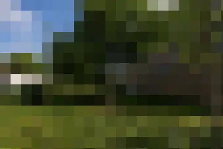 Tolhuis 3315 Nijmegen thumbnail 38