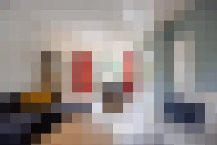 Tolhuis 3315 Nijmegen thumbnail 4