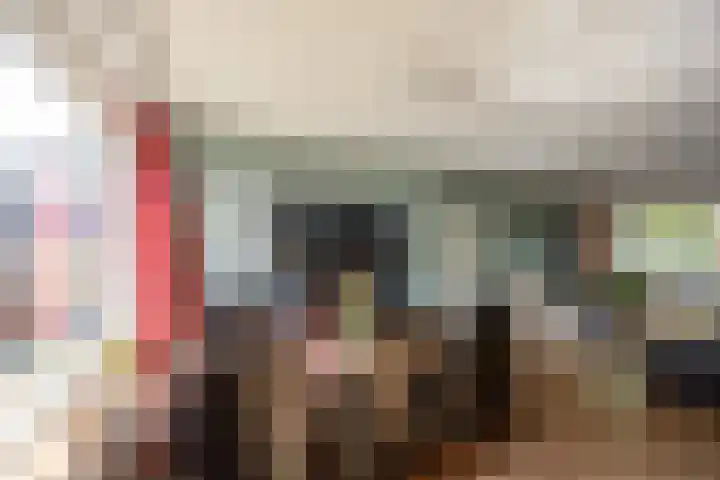 Tolhuis 3315 Nijmegen thumbnail 7