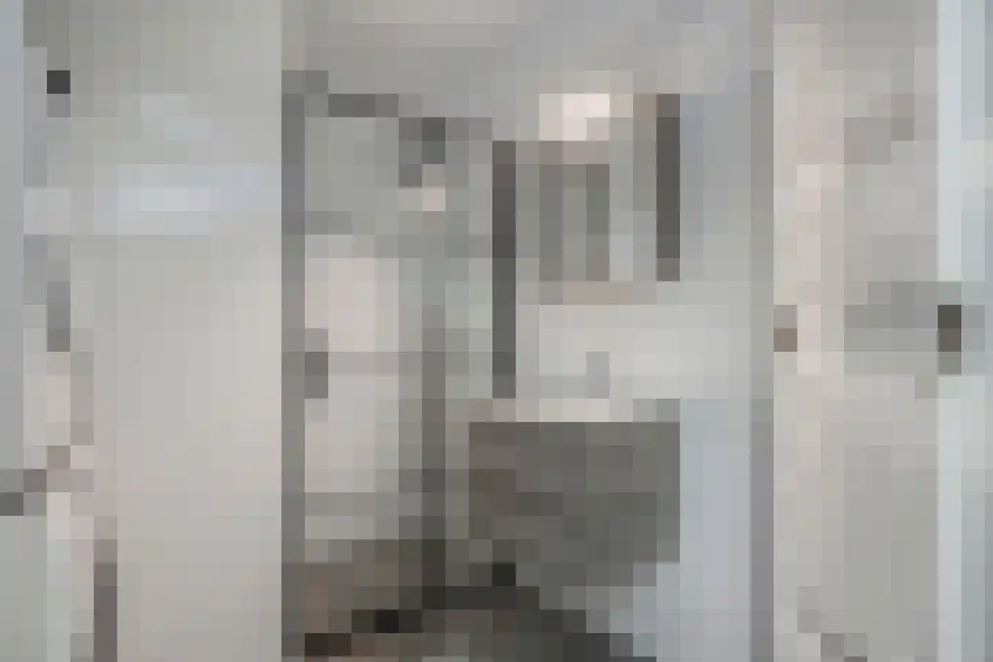 Tolhuis 3335 Nijmegen thumbnail 17