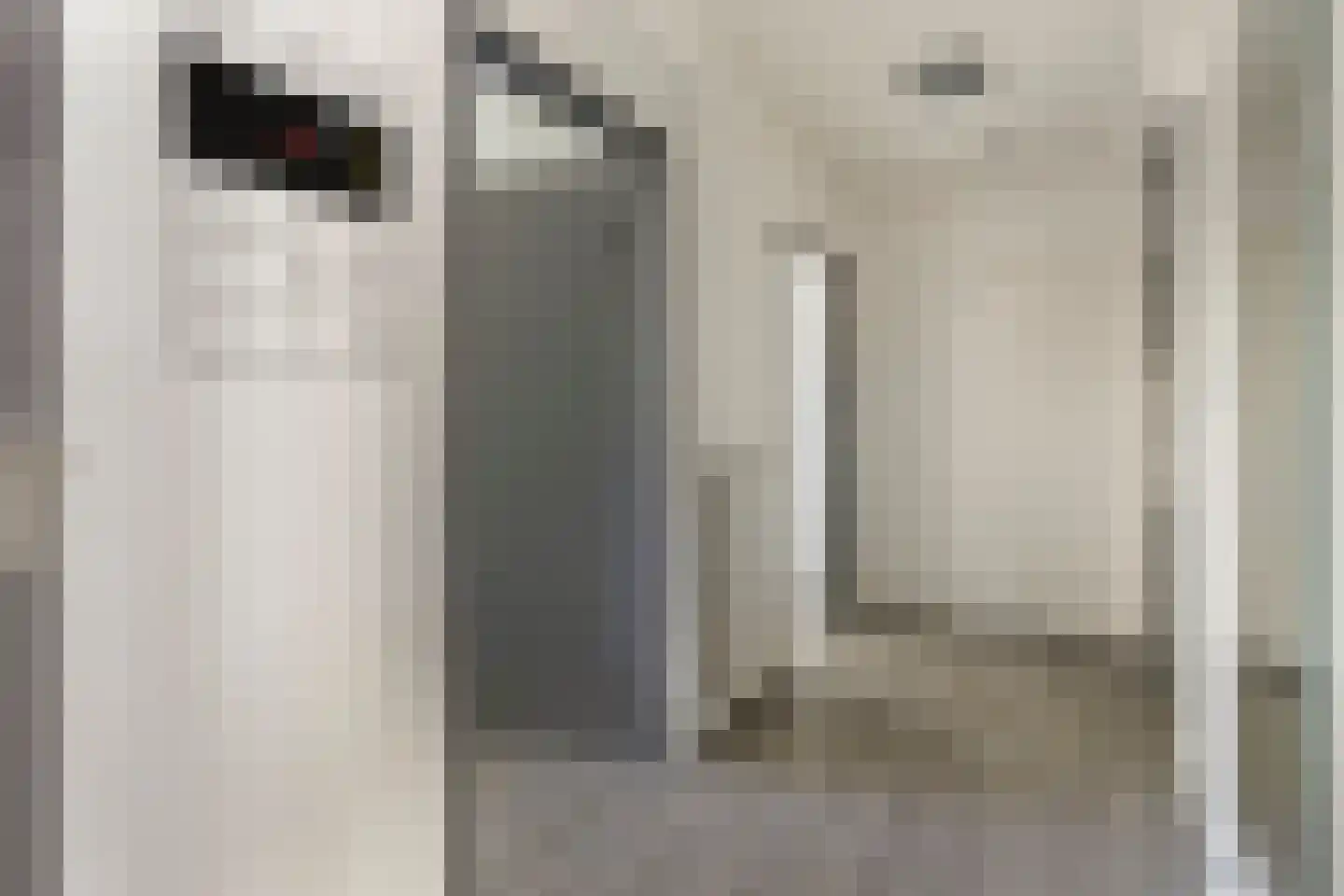 Tolhuis 3335 Nijmegen thumbnail 19