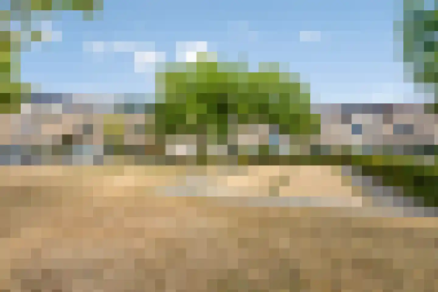 Tolhuis 3335 Nijmegen thumbnail 28