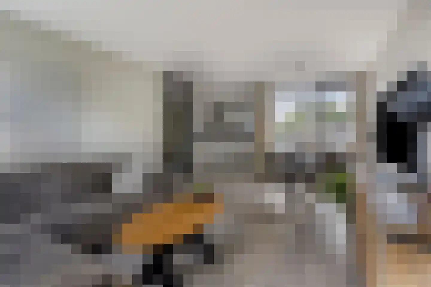 Tolhuis 3335 Nijmegen thumbnail 7