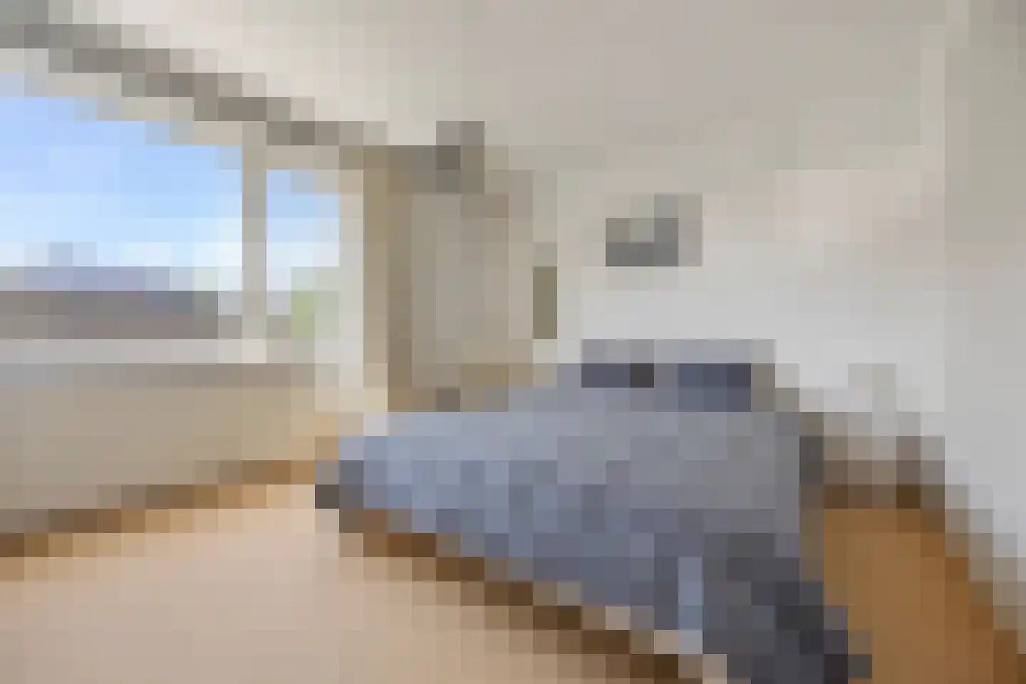 Tolhuis 3345 Nijmegen thumbnail 20