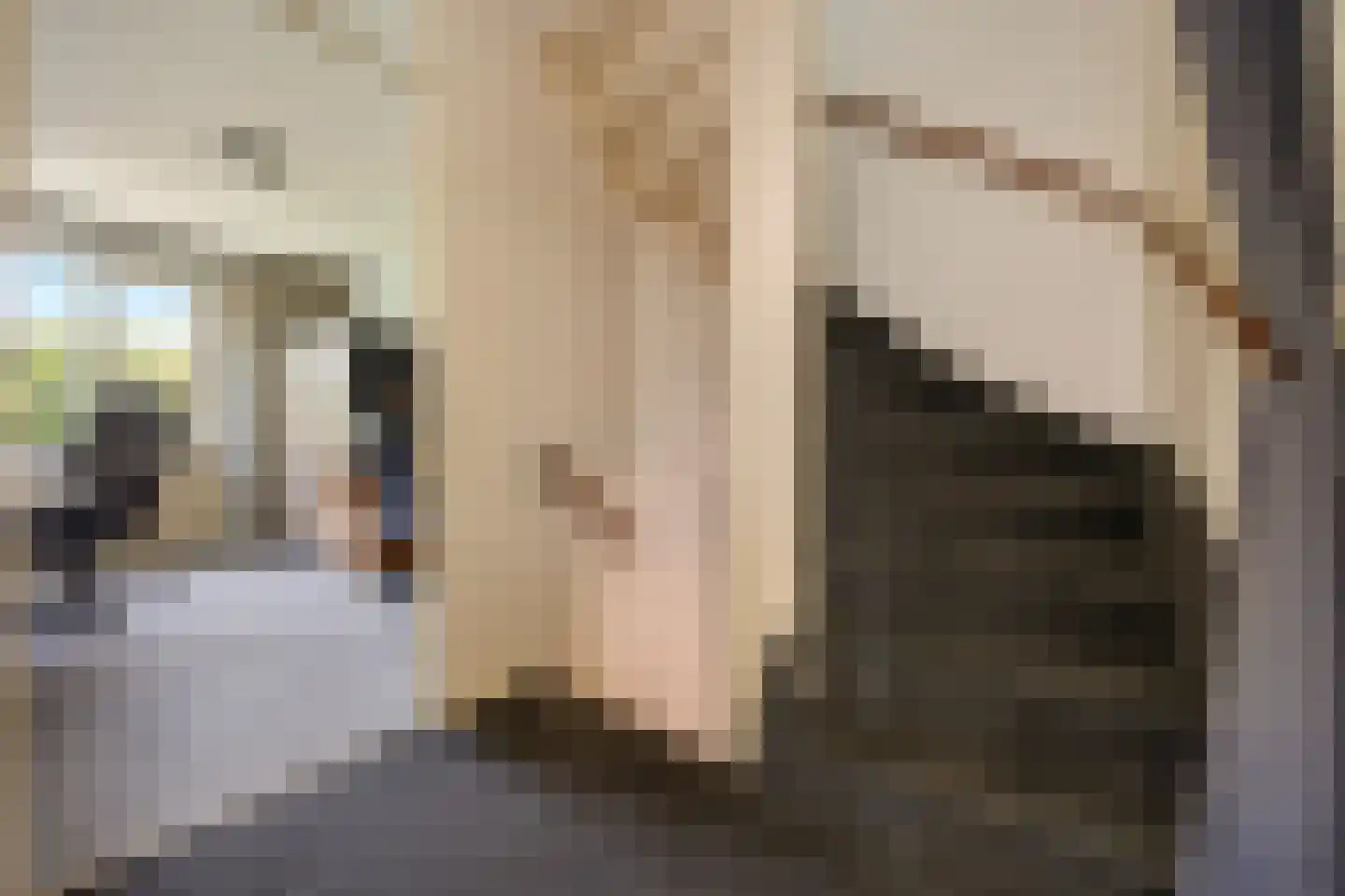 Tolhuis 3345 Nijmegen thumbnail 23