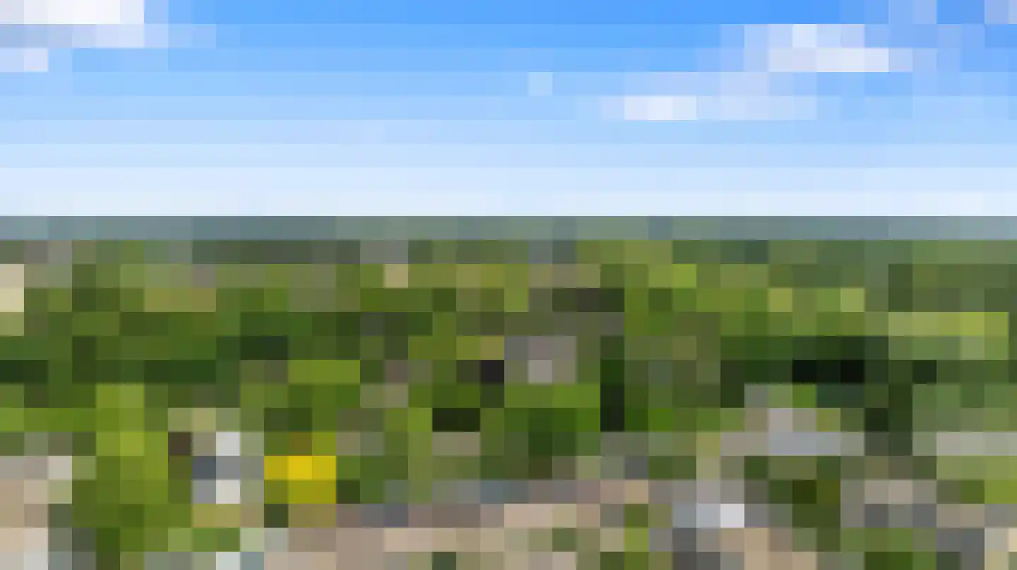 Tolhuis 3345 Nijmegen thumbnail 43
