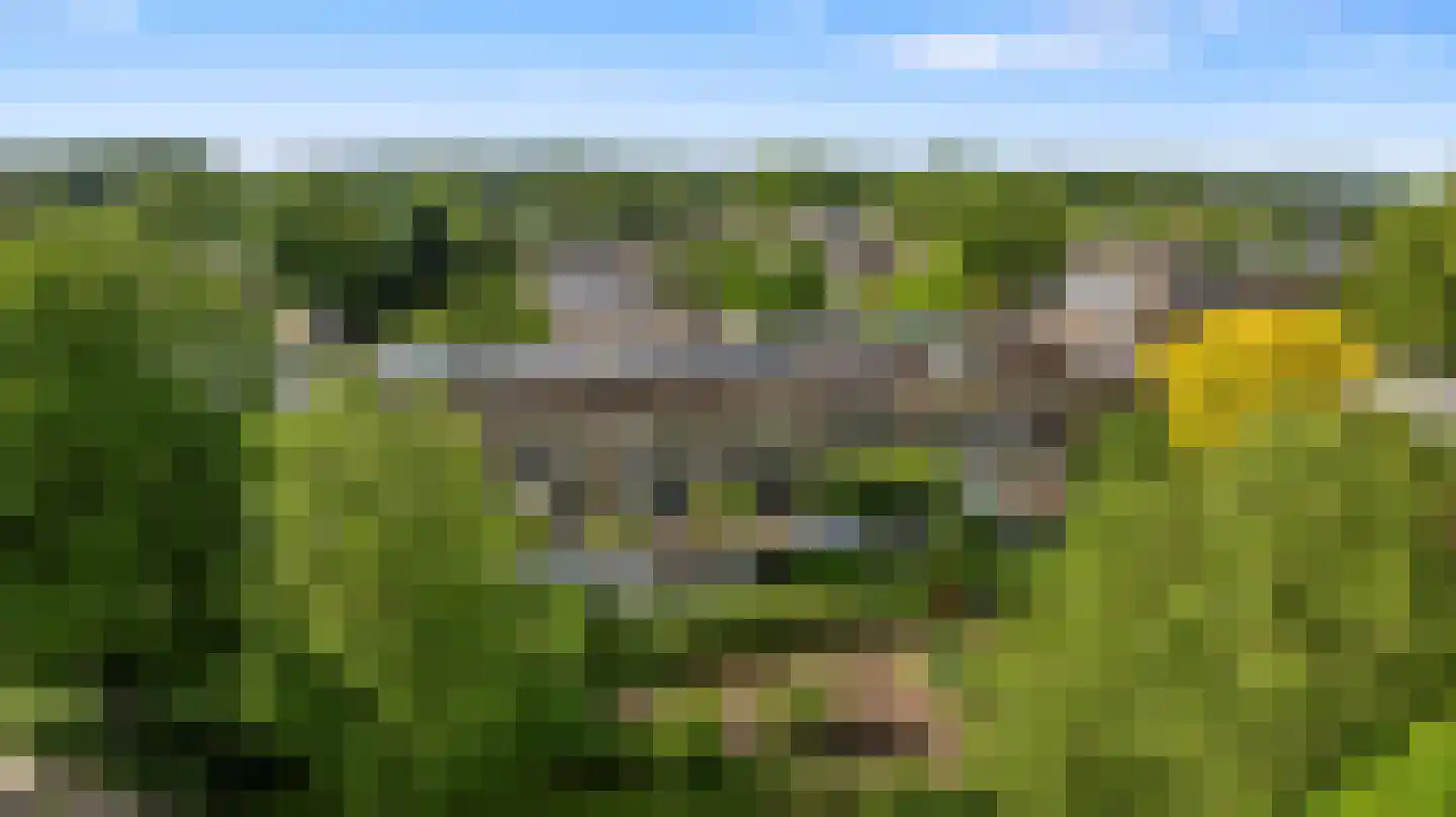 Tolhuis 3345 Nijmegen thumbnail 45