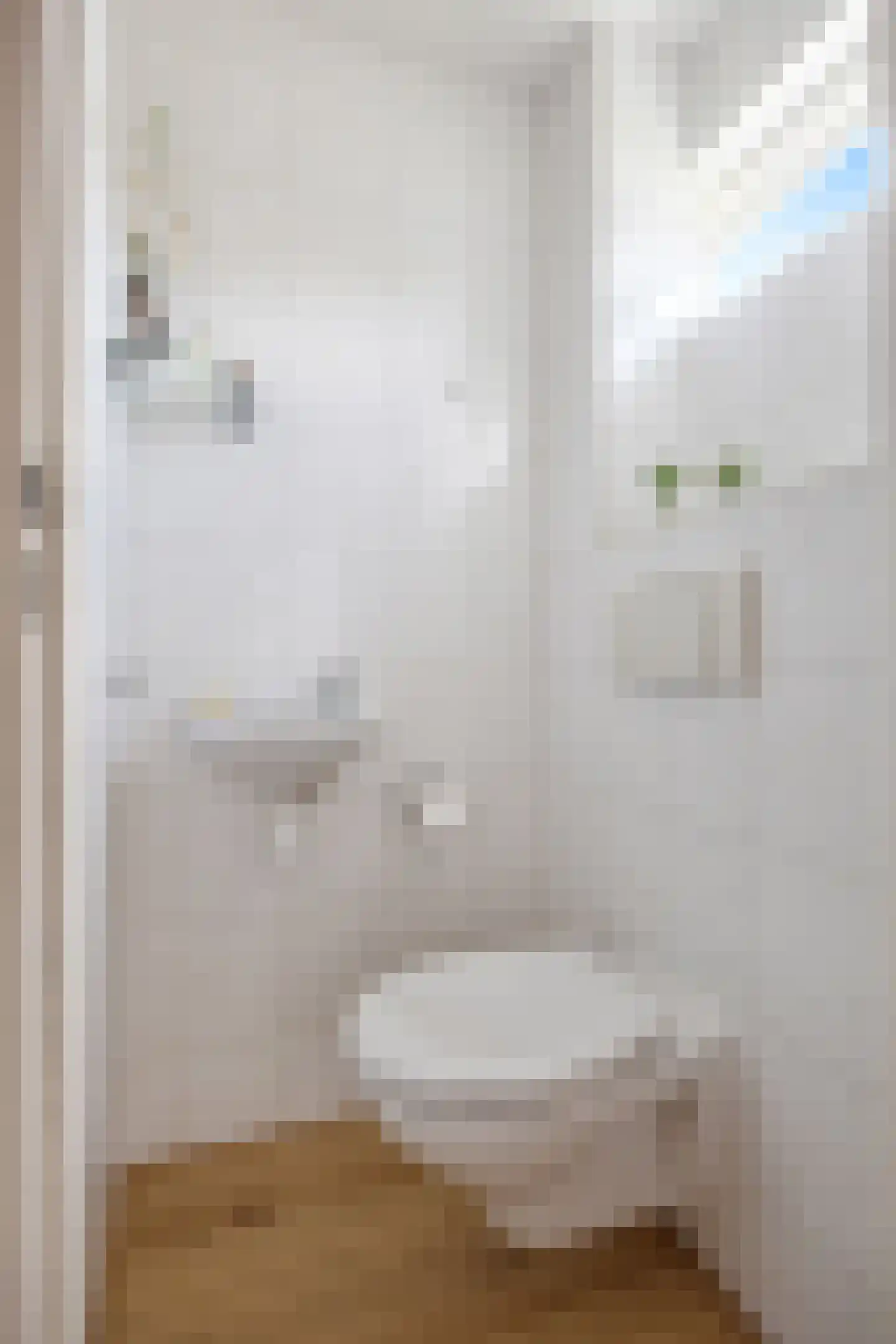 Tolhuis 3345 Nijmegen thumbnail 7