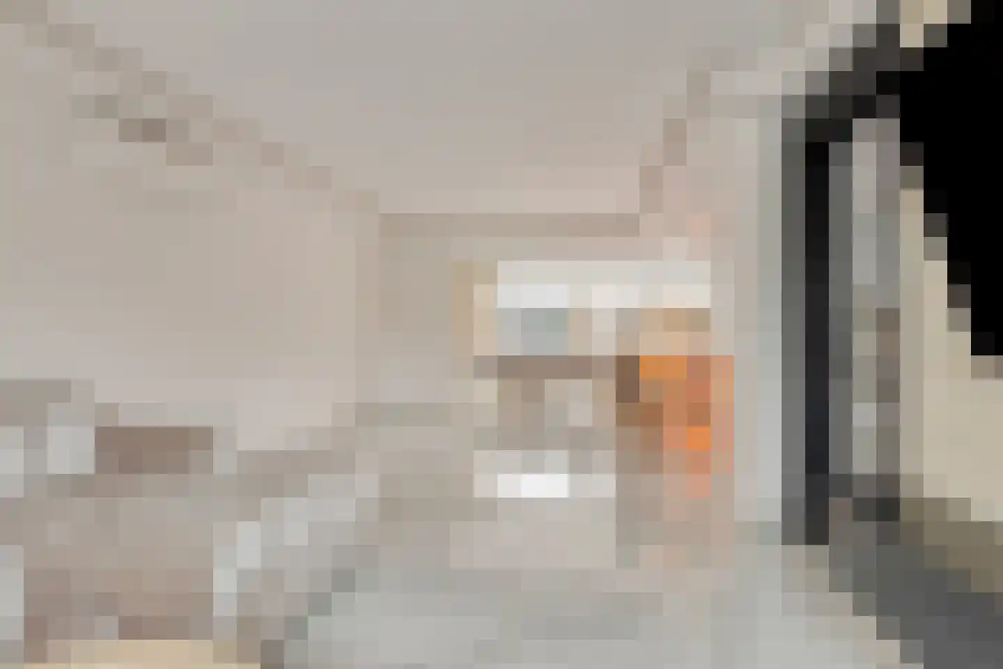 Tolhuis 3411 Nijmegen thumbnail 14