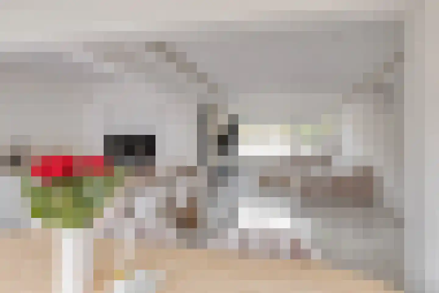 Tolhuis 3411 Nijmegen thumbnail 19