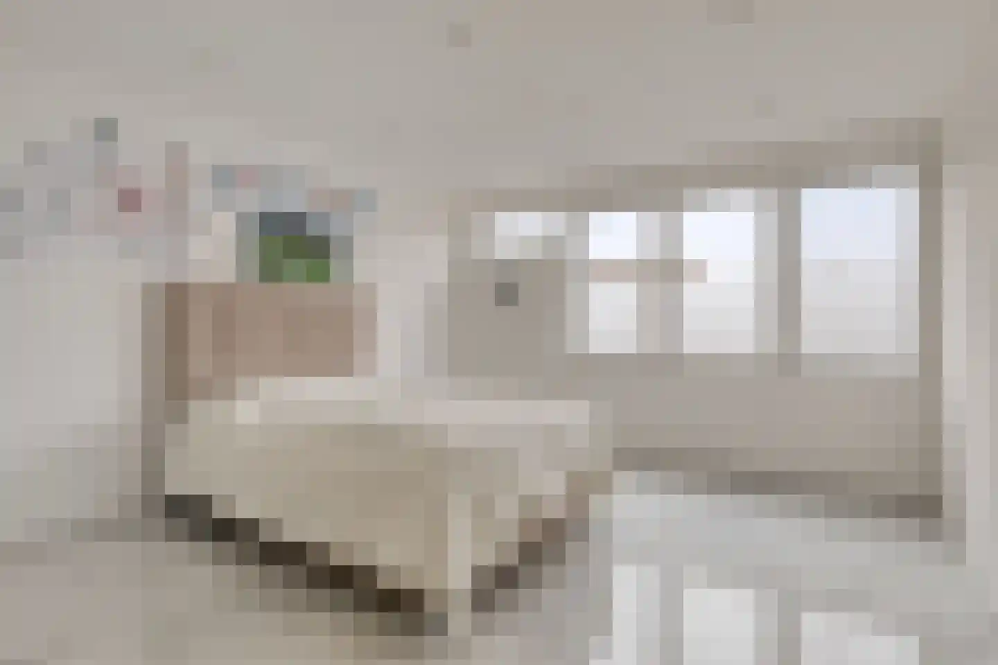 Tolhuis 3411 Nijmegen thumbnail 4