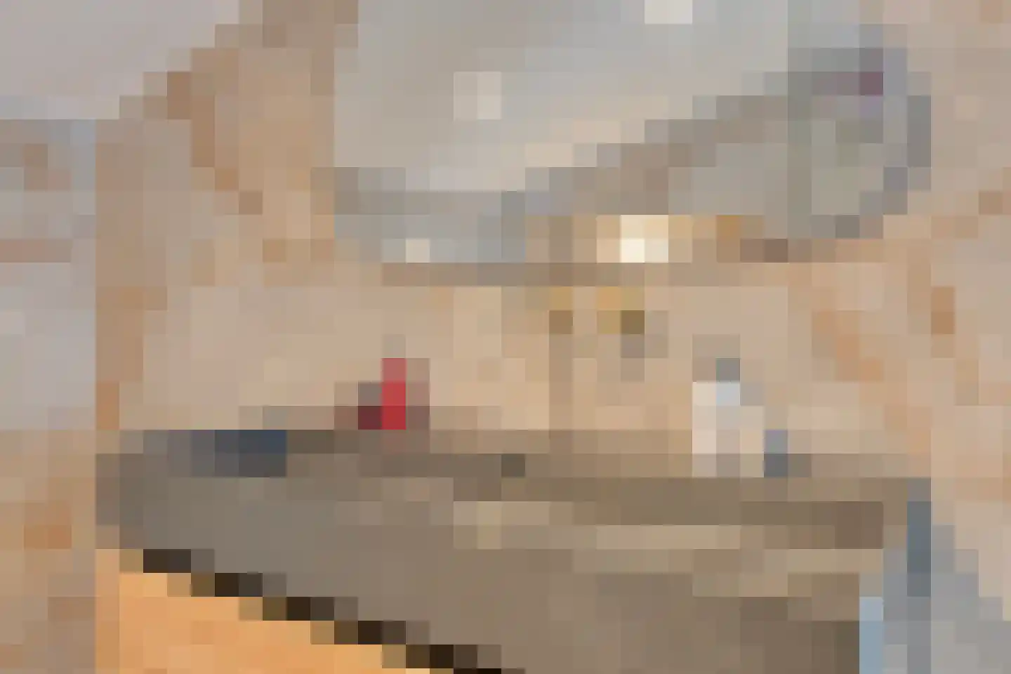 Tolhuis 3411 Nijmegen thumbnail 40