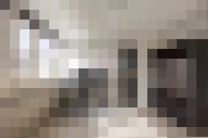 Tolhuis 3512 Nijmegen thumbnail 20