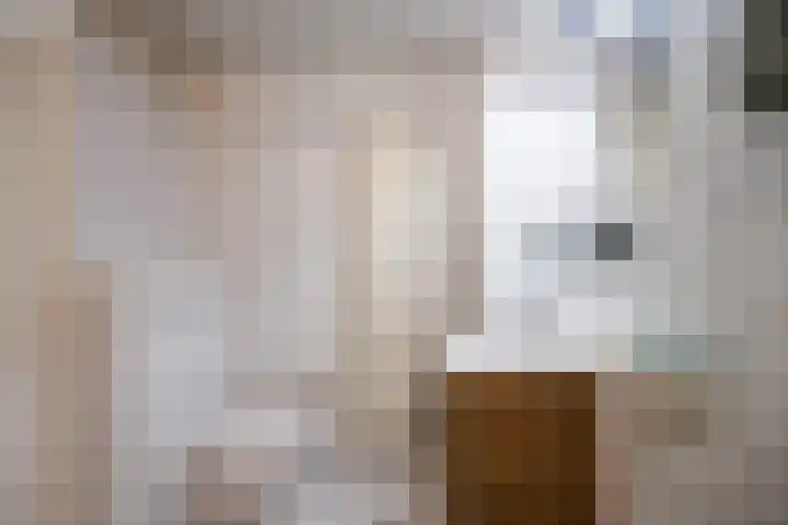 Tolhuis 3512 Nijmegen thumbnail 26
