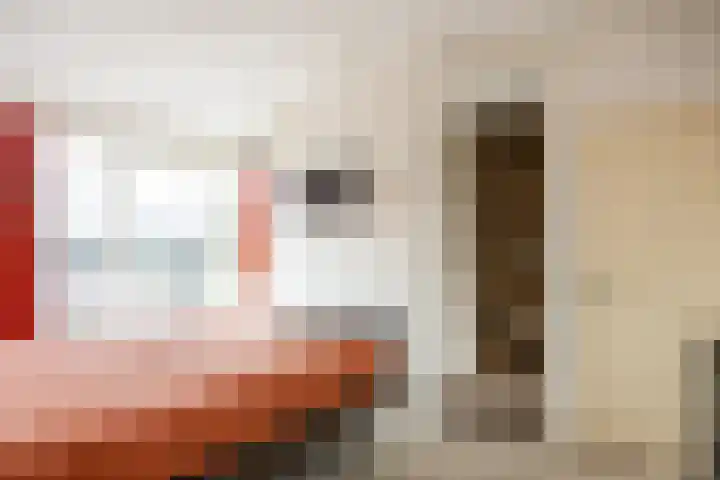 Tolhuis 3512 Nijmegen thumbnail 36