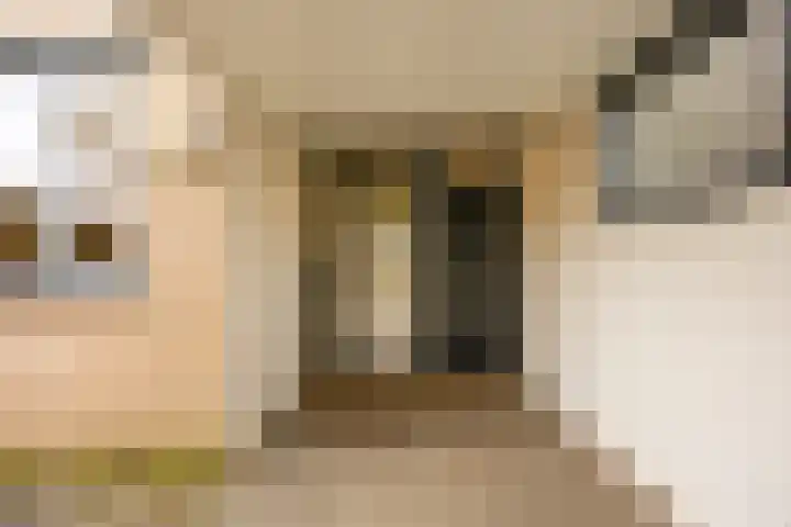 Tolhuis 3512 Nijmegen thumbnail 4