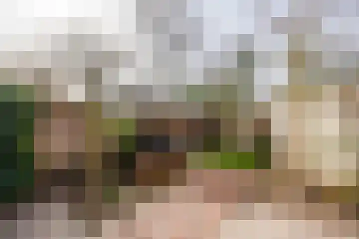 Tolhuis 3512 Nijmegen thumbnail 42