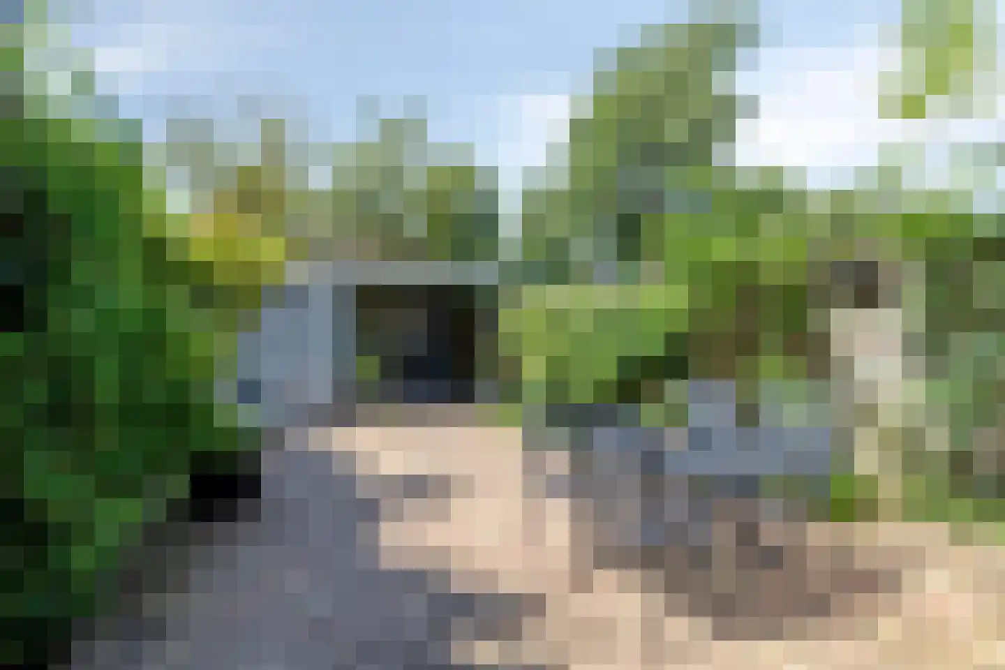 Tolhuis 3516 Nijmegen thumbnail 32
