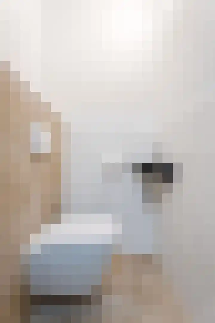 Tolhuis 4054 Nijmegen thumbnail 16