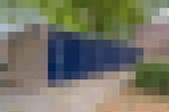 Tolhuis 4054 Nijmegen thumbnail 29