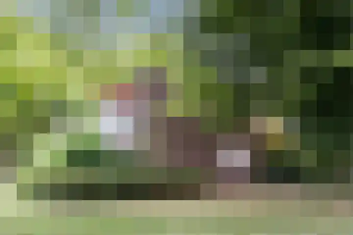 Tolhuis 4054 Nijmegen thumbnail 31