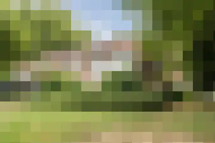 Tolhuis 4054 Nijmegen thumbnail 32