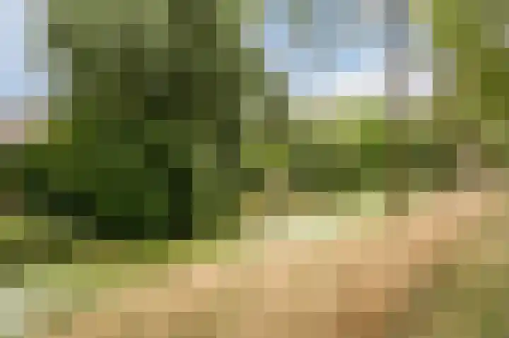 Tolhuis 4054 Nijmegen thumbnail 33