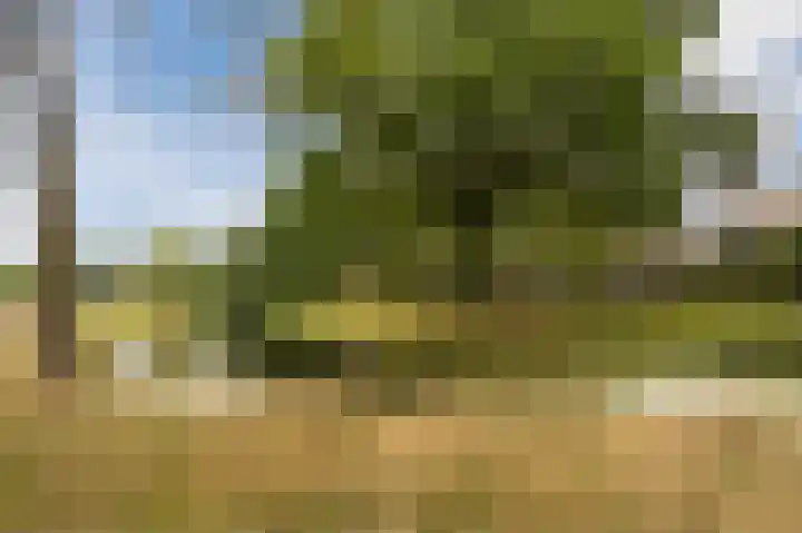 Tolhuis 4054 Nijmegen thumbnail 34