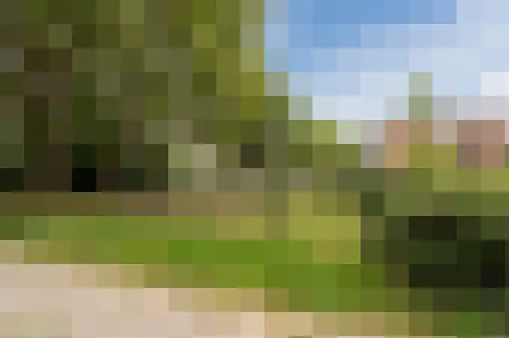 Tolhuis 4054 Nijmegen thumbnail 35