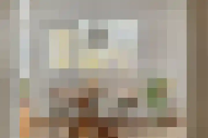 Tolhuis 4066 Nijmegen thumbnail 10