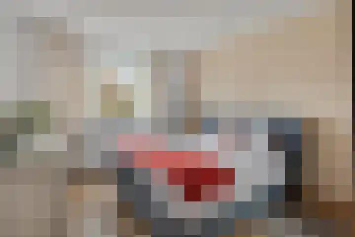Tolhuis 4066 Nijmegen thumbnail 14