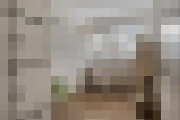 Tolhuis 4066 Nijmegen thumbnail 18