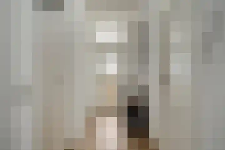 Tolhuis 4066 Nijmegen thumbnail 21