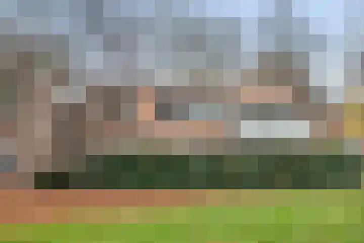 Tolhuis 4066 Nijmegen thumbnail 22
