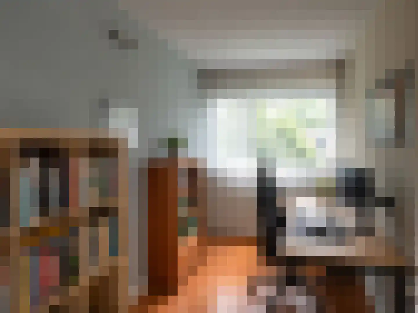 Tolhuis 4203 Nijmegen thumbnail 10