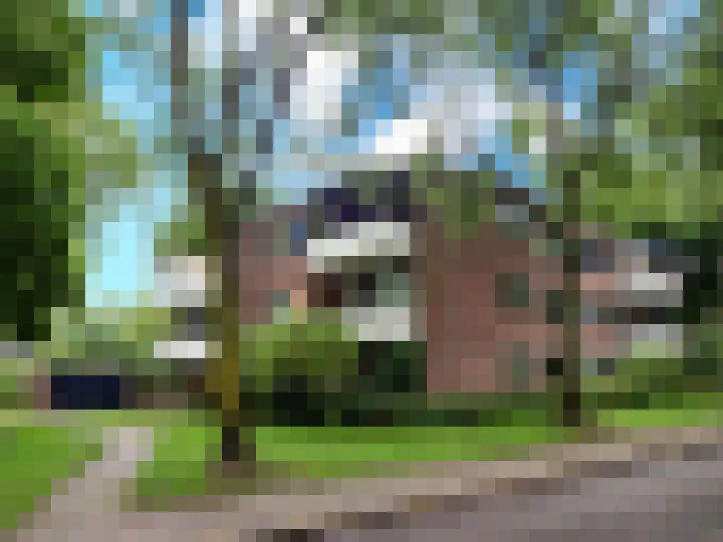 Tolhuis 4203 Nijmegen thumbnail 17