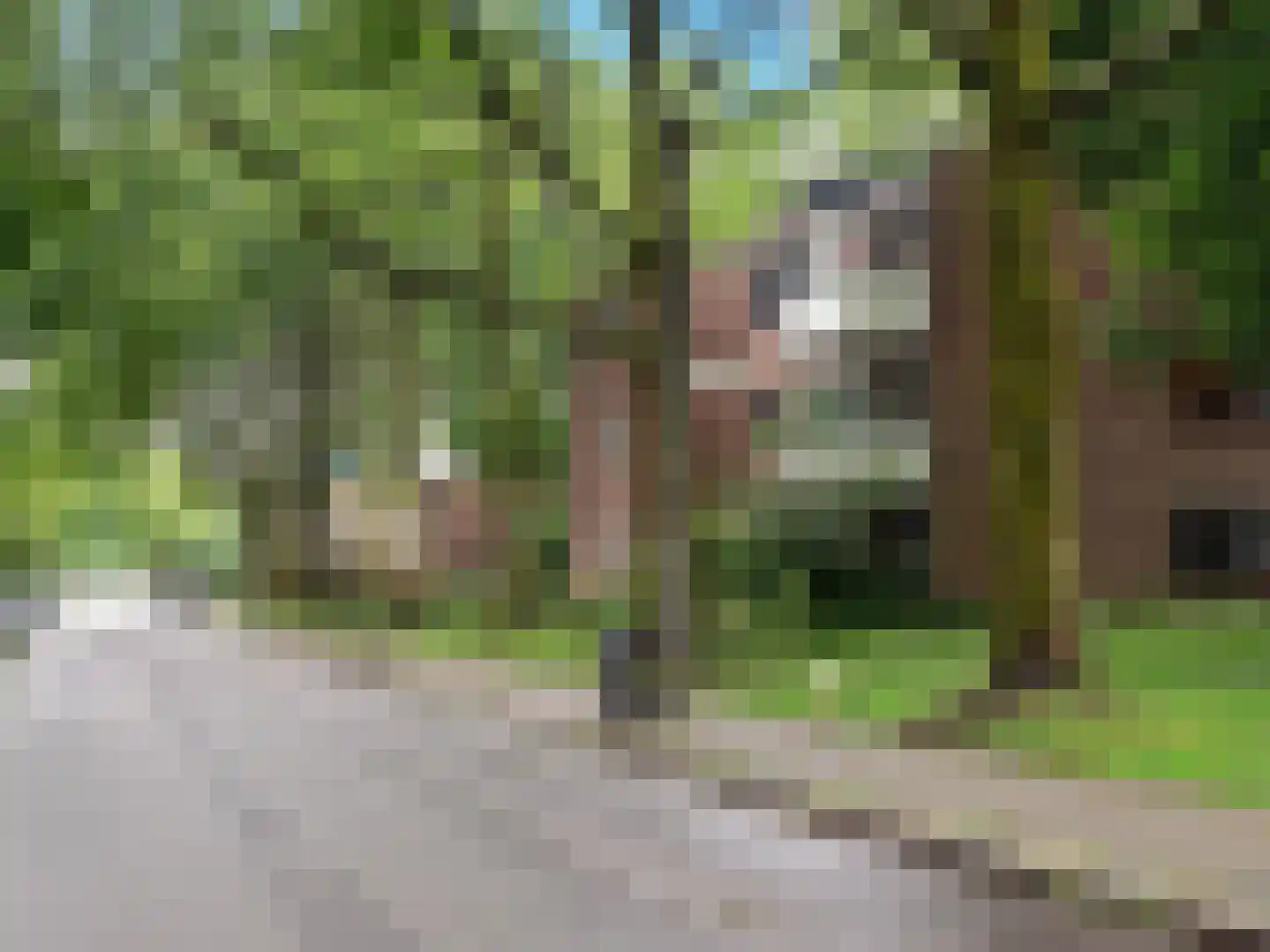 Tolhuis 4203 Nijmegen thumbnail 18