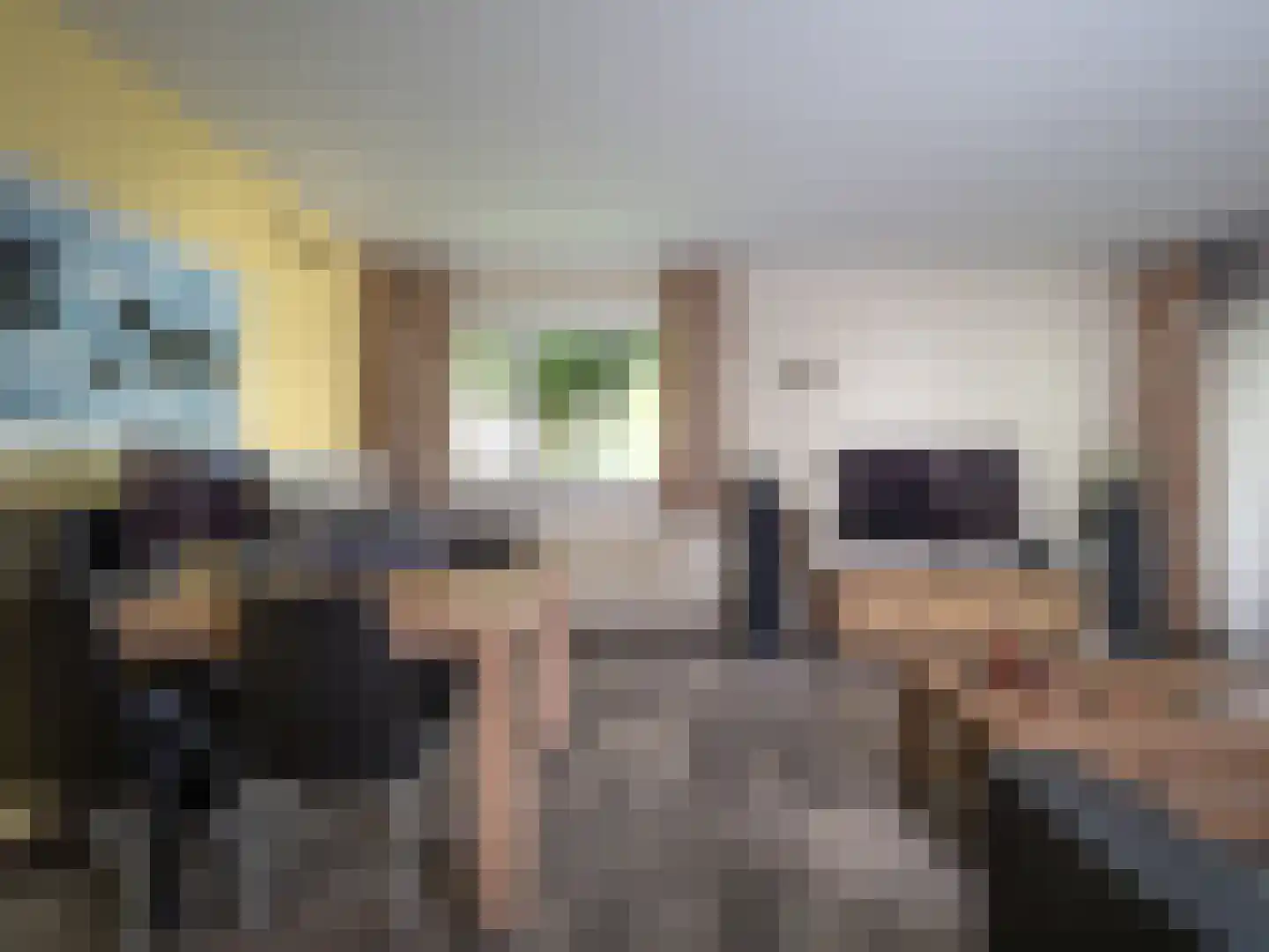 Tolhuis 4203 Nijmegen thumbnail 5