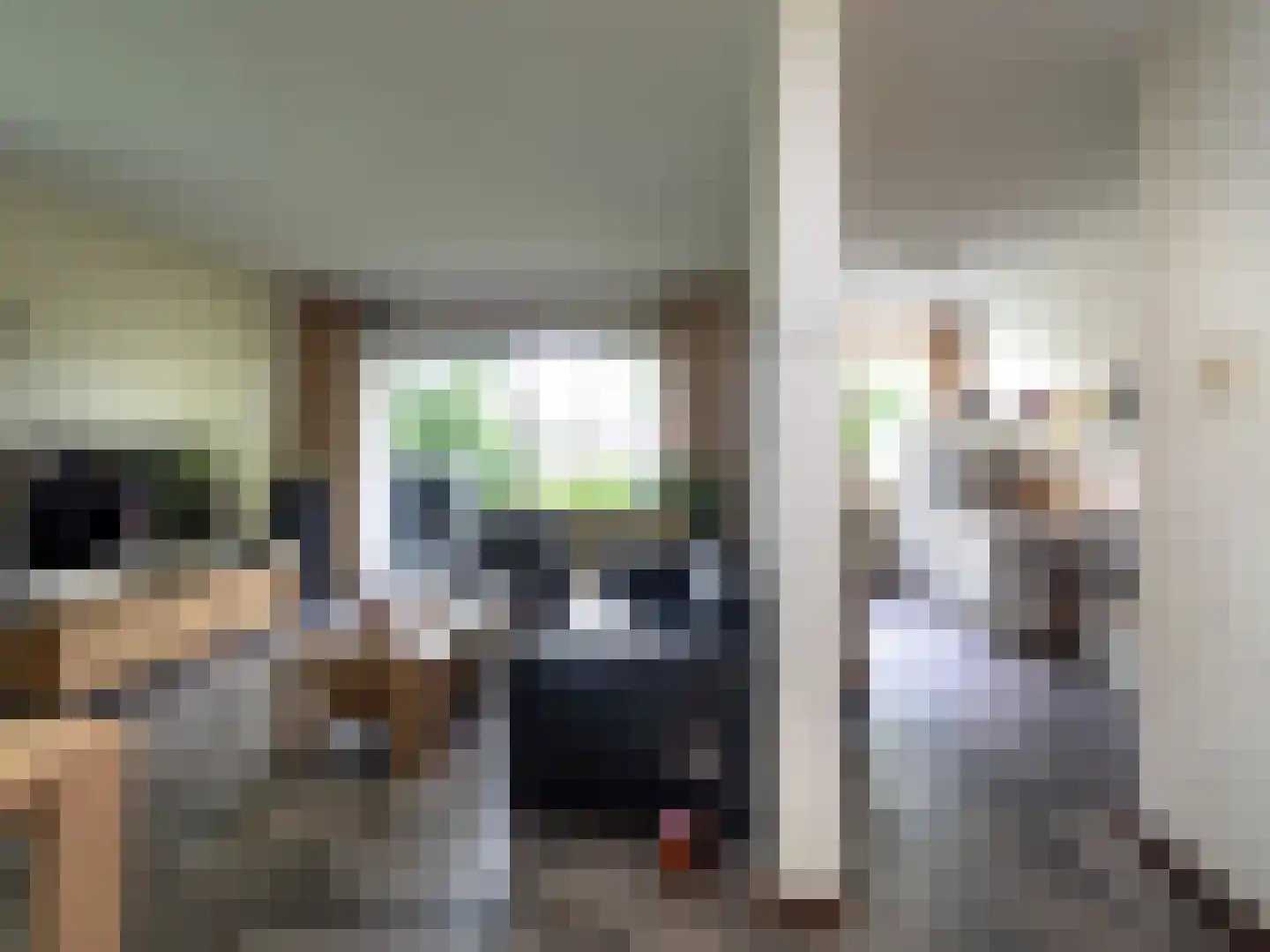 Tolhuis 4203 Nijmegen thumbnail 7