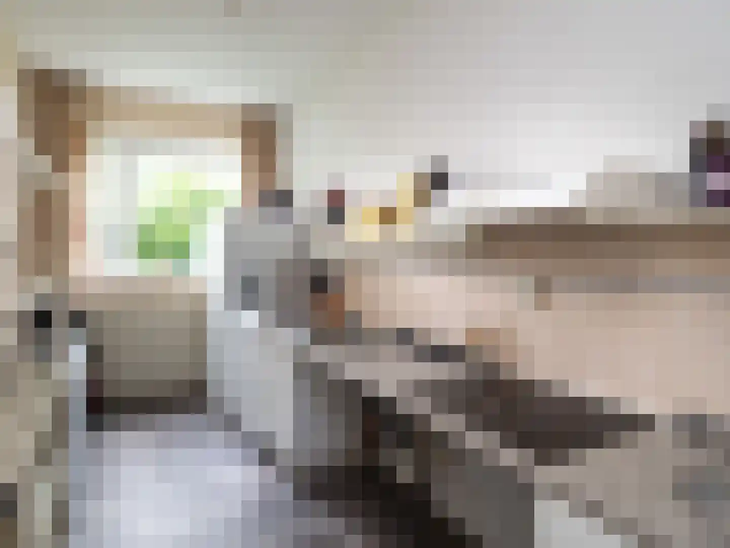 Tolhuis 4203 Nijmegen thumbnail 8