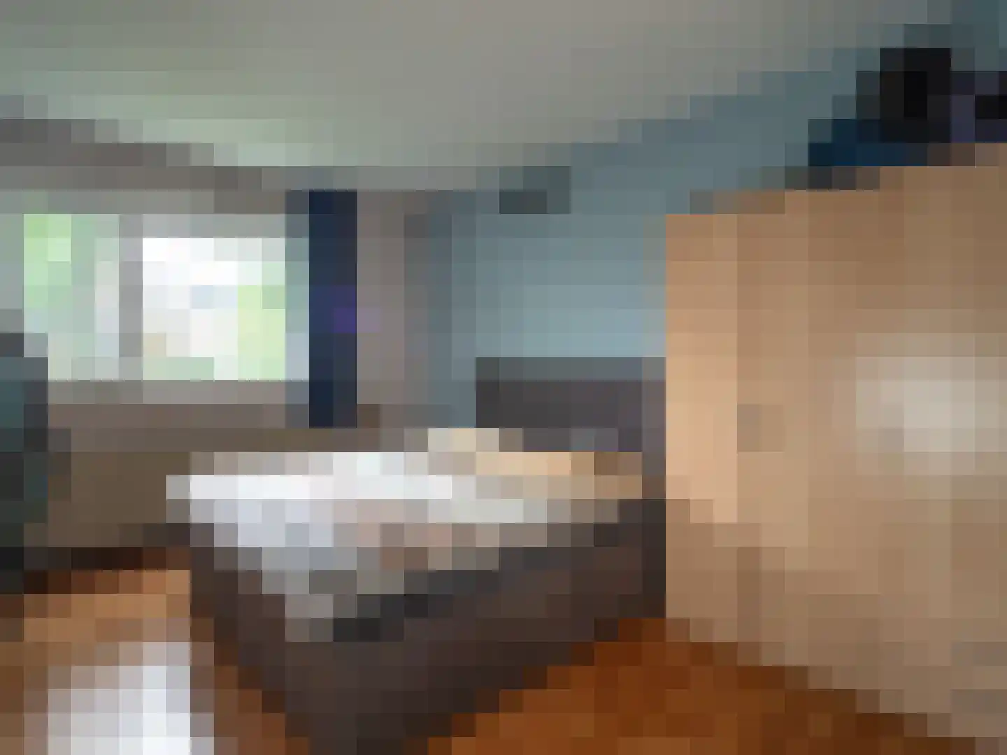 Tolhuis 4203 Nijmegen thumbnail 9
