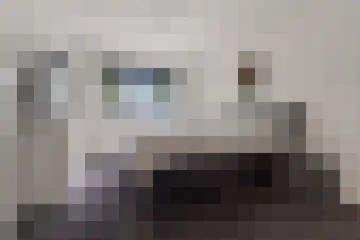 Tolhuis 4215 Nijmegen thumbnail 18
