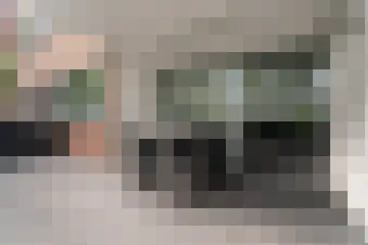 Tolhuis 4215 Nijmegen thumbnail 28