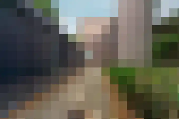 Tolhuis 4215 Nijmegen thumbnail 30