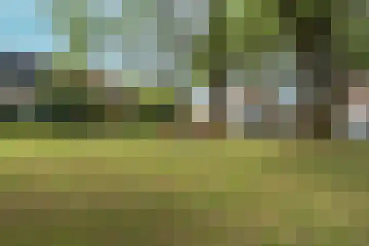 Tolhuis 4215 Nijmegen thumbnail 32