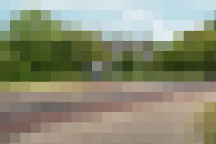 Tolhuis 4215 Nijmegen thumbnail 33